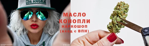 гидра Михайловка