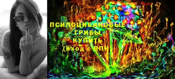 гидра Михайловка