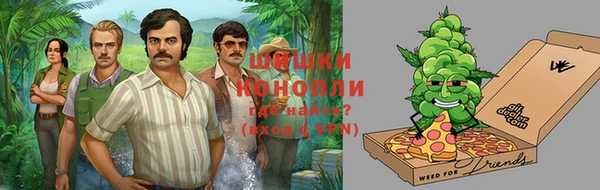 гидра Михайловка